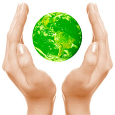Sustentabilidade Sustentabilidade